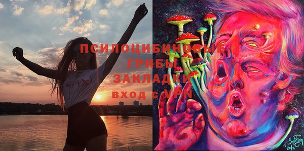 спайс Алексин
