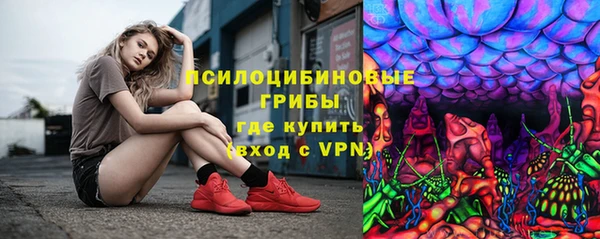 молекула духа Алексеевка