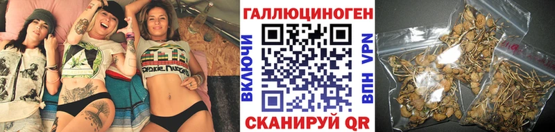 цена OMG ONION Псилоцибиновые грибы ЛСД Нюрба